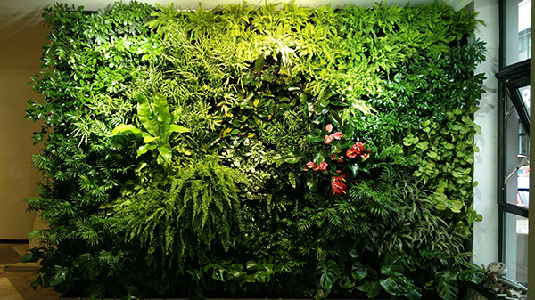 辦公室植物墻