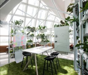 最新辦公室植物裝修設(shè)計(jì)效果圖