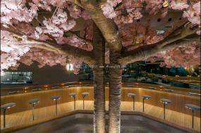 日式主題餐廳裝修高清圖片