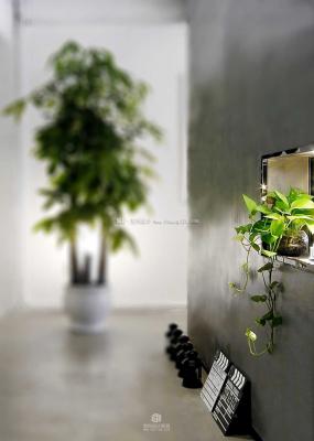 loft風格辦公室裝飾效果圖片